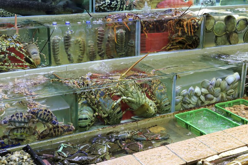 Hải sản